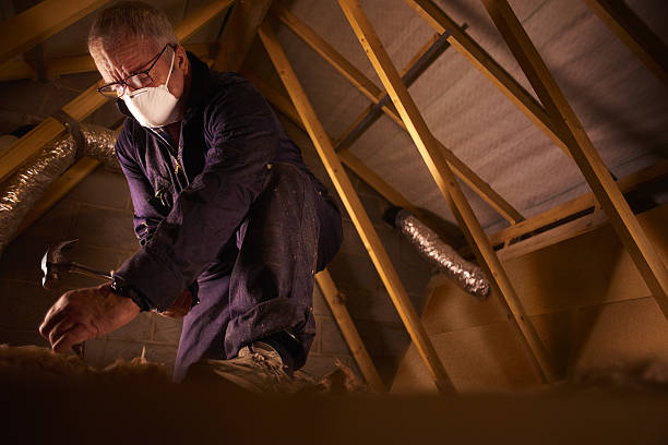 Best Home Insulation Services  in Cut Bank, MT
